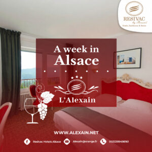An Alsatian week / 7 nights